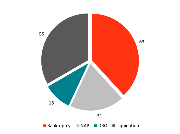 Chart image showing the Insolvency procedures, including bankruptcy, No Asset Procedures, Debt Repayment Orders, and Liquidations.